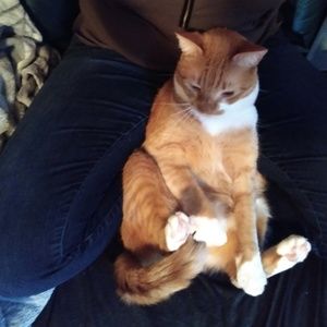 Meet your Posher, Chasity